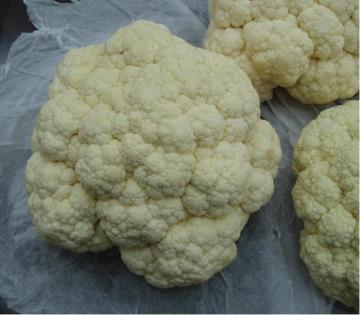 Cauliflower